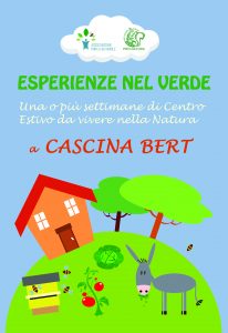 FRONTE1 BERT