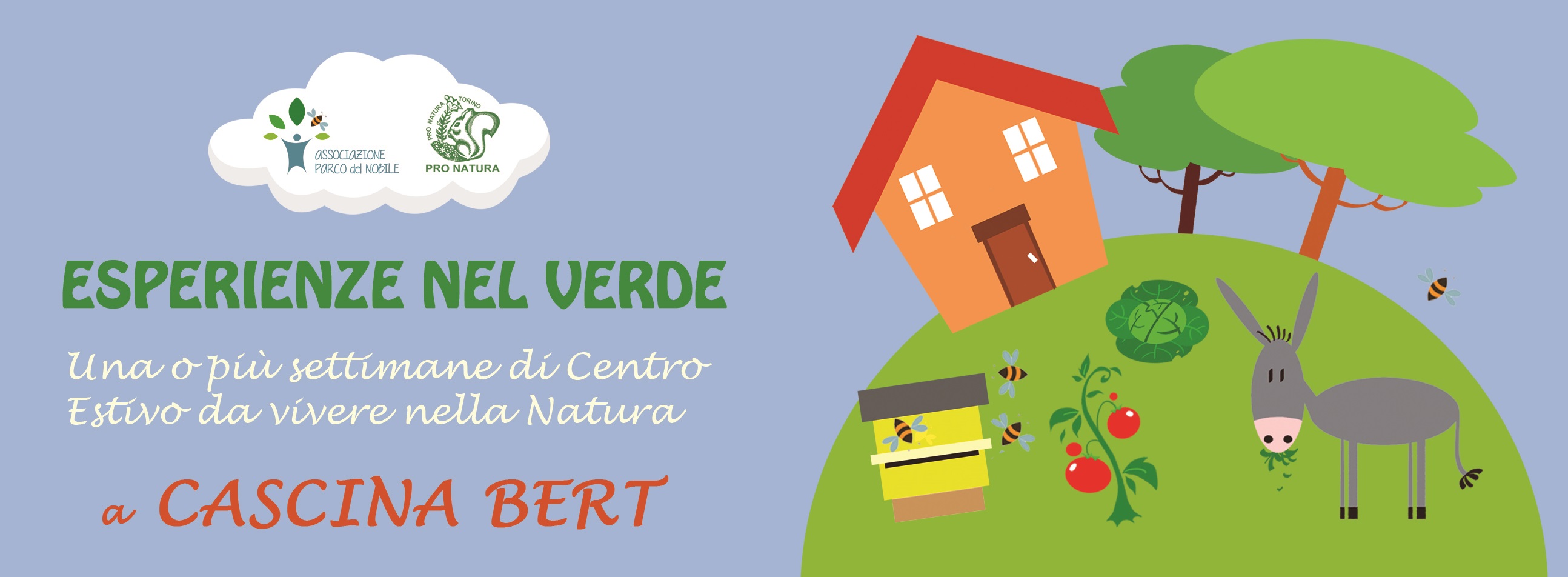 Centri estivi Presso Cascina Bert
