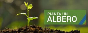 pianta_un_albero