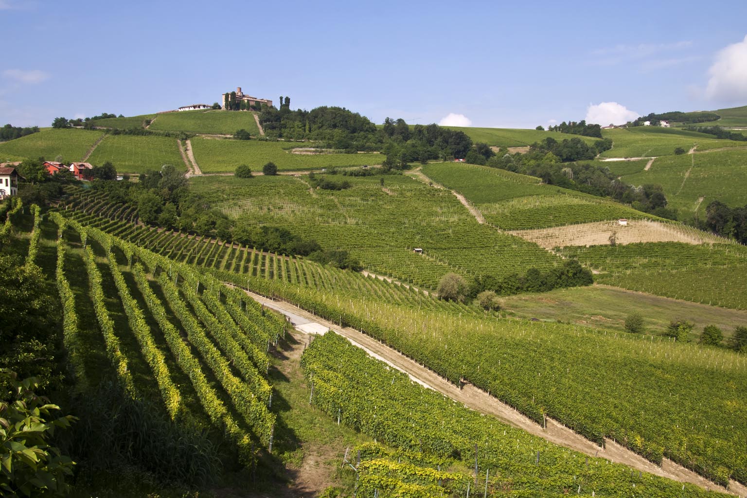 La Belle Verte. Territori, natura e cultura nei Siti UNESCO del distretto piemontese