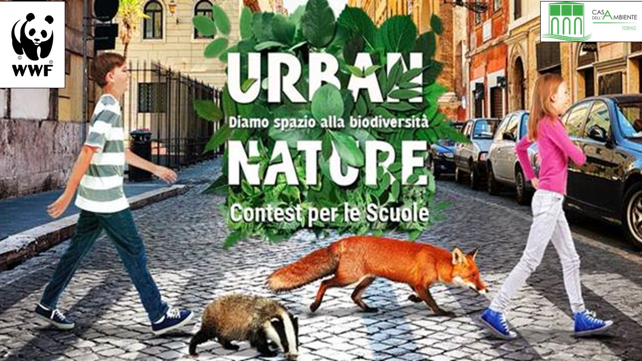 Educazione ambientale fondamentale. Ma chi insegna agli insegnanti? Alla Casa dell’Ambiente il seminario gratuito del WWF