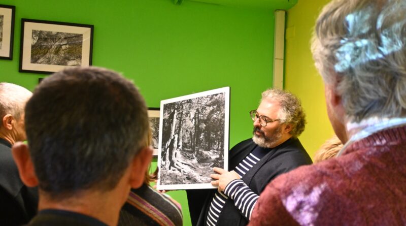 Gli alberi sono le barriere coralline del cielo e dell’aria. “Popolo silenzioso”, giganti arborei in mostra fotografica