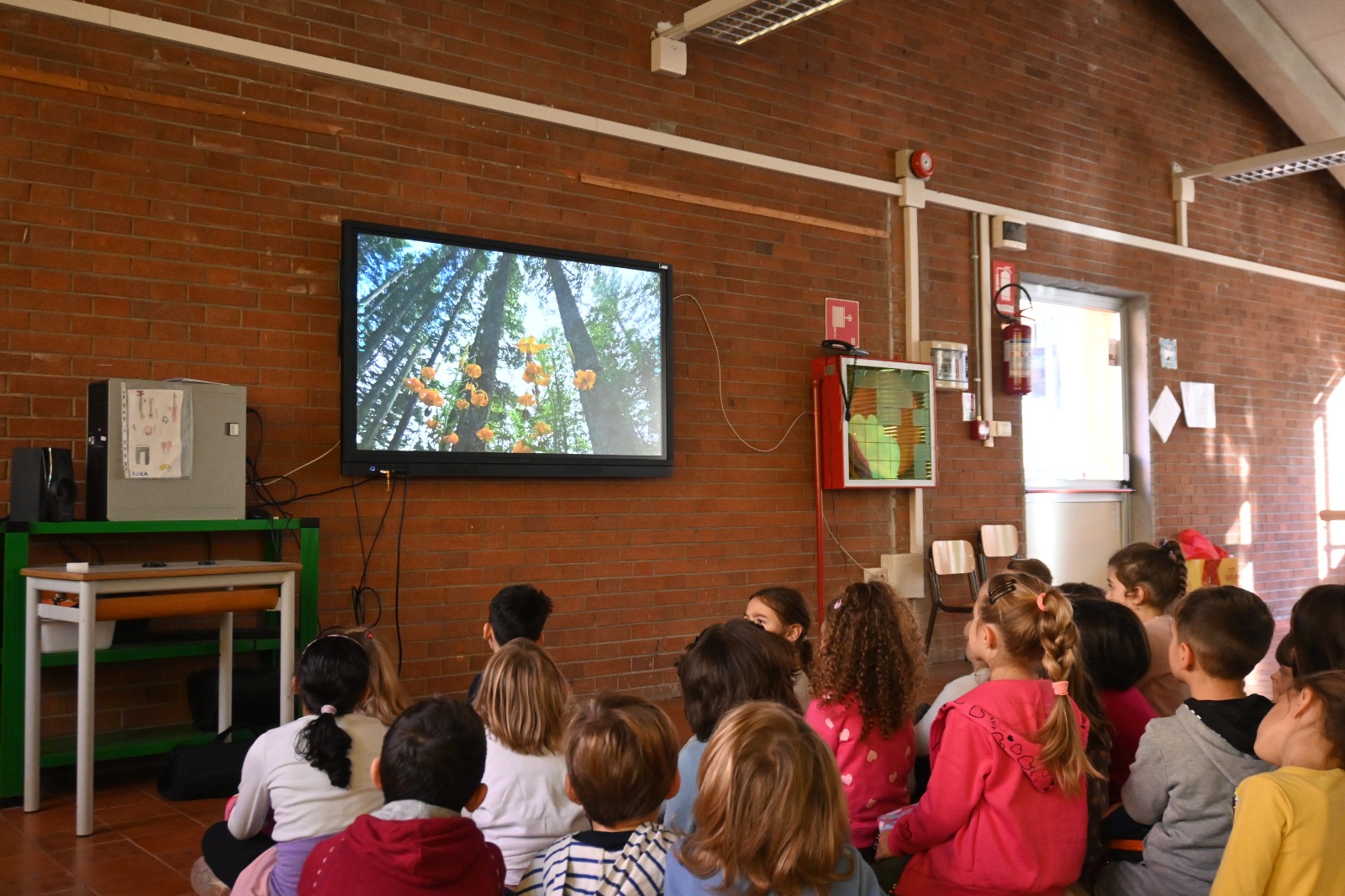 Un regalo verde per la scuola Antonelli: cinque piante trovano casa in occasione della giornata nazionale degli alberi